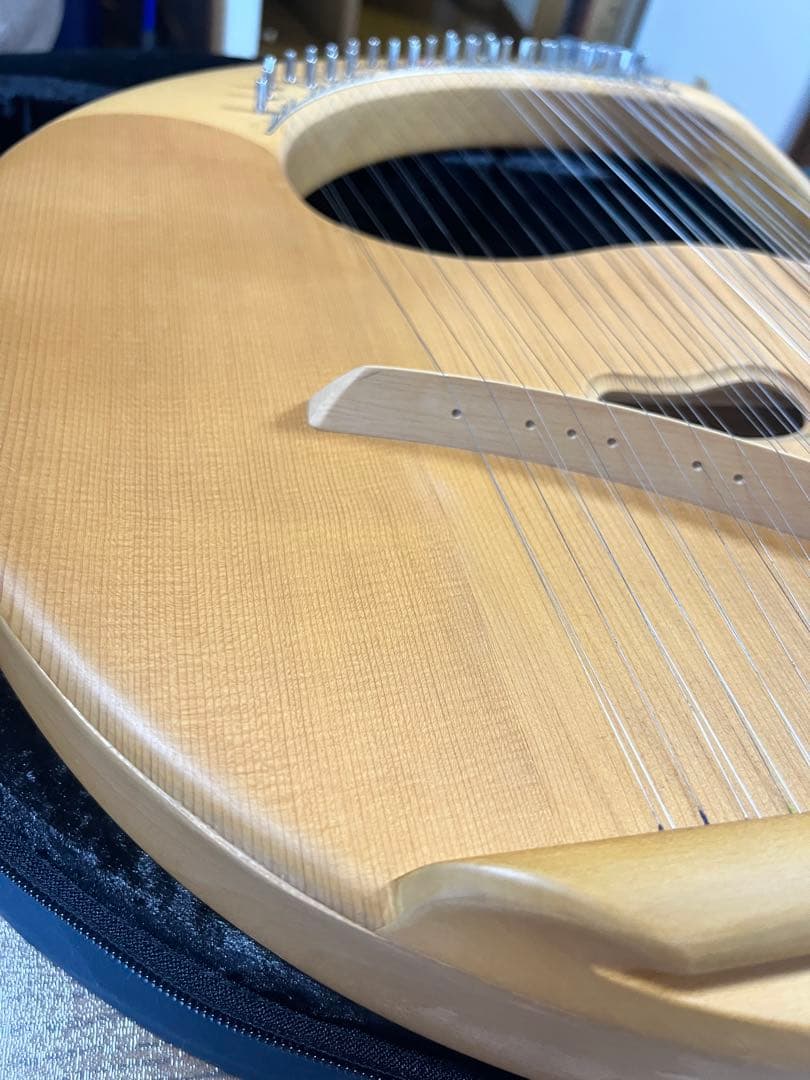 ゲルトナー　ライアーハープ　35弦　ハードケース、ソフトバッグ付き