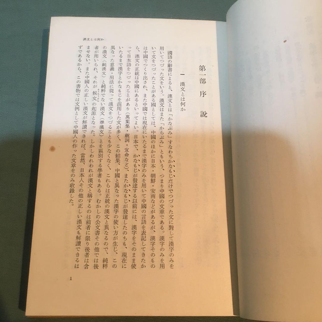 30-漢文入門　写真通りの日焼けとシミが見られます。