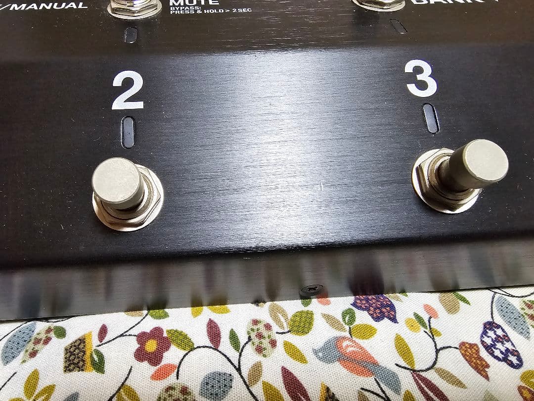ギター BOSS ES-8