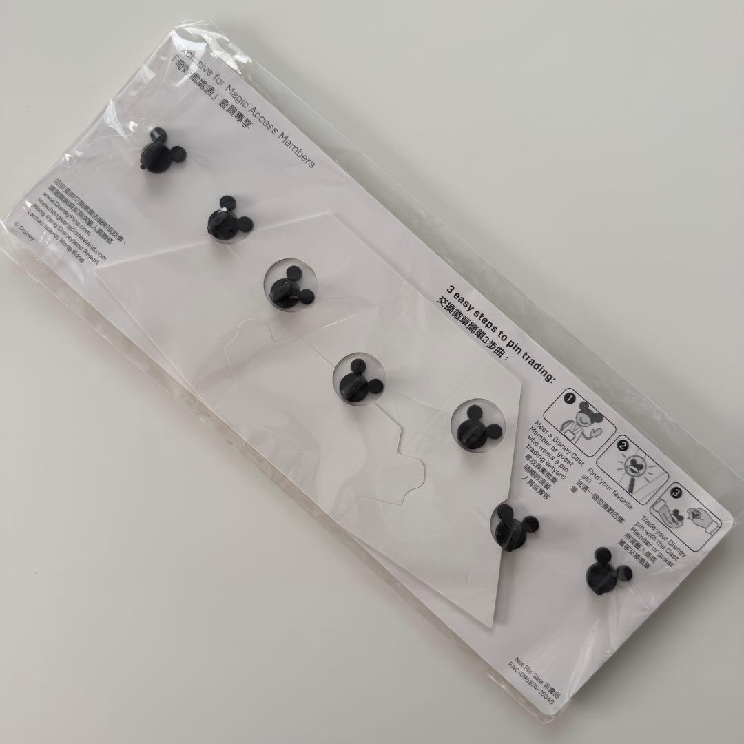 非売品 HKDL 香港ディズニーランド ダッフィー&フレンズ 年パス ピンバッジ