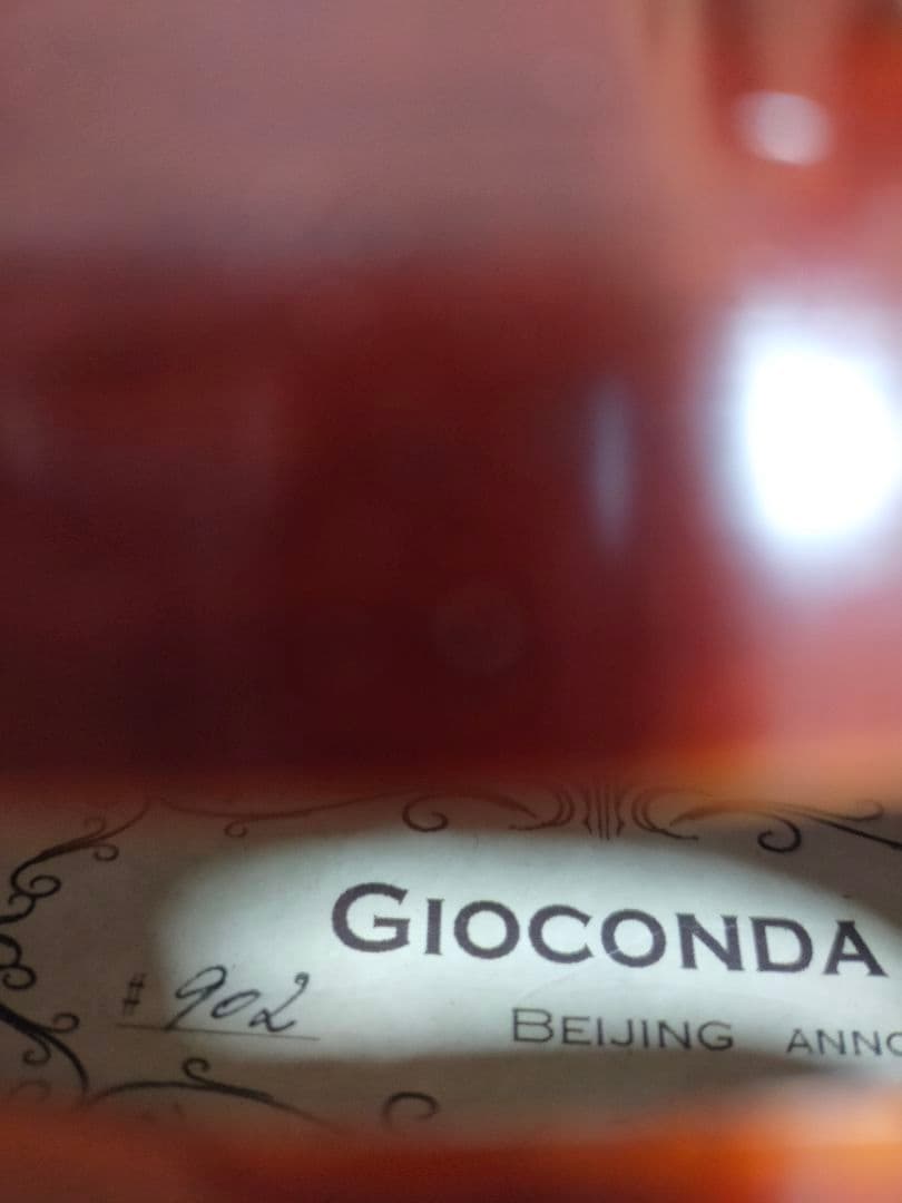 ヴァイオリン（a comtemporary violin）