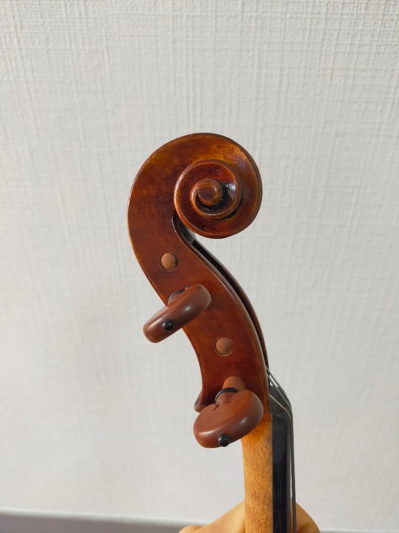 ヴァイオリン（a comtemporary violin）