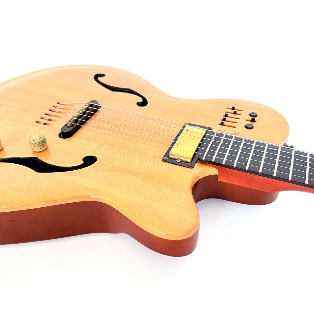 【希少】GODIN MULTIAC JAZZ SA セミアコースティックギター