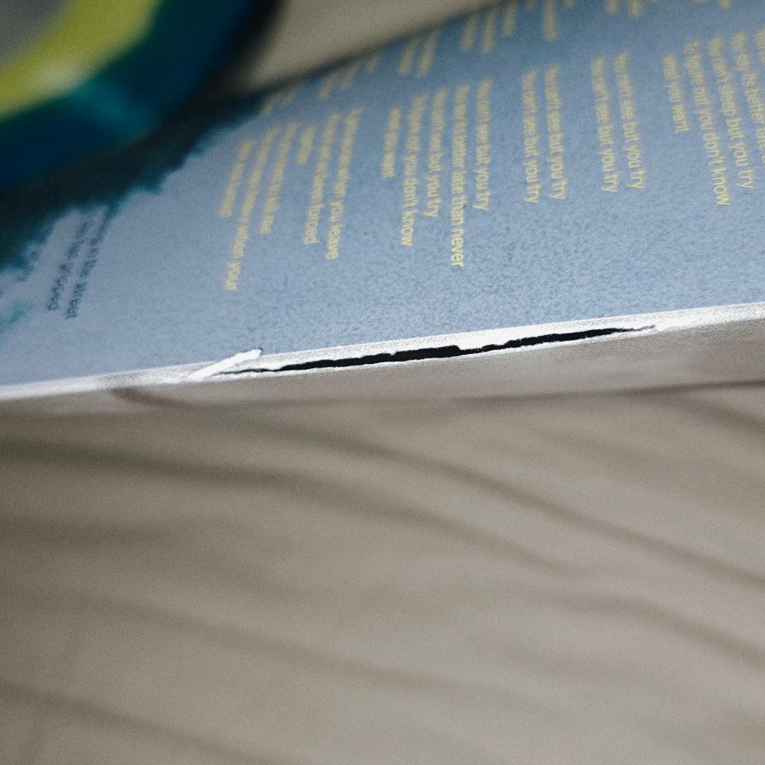 Westside Cowboy Blood Records 限定 500枚