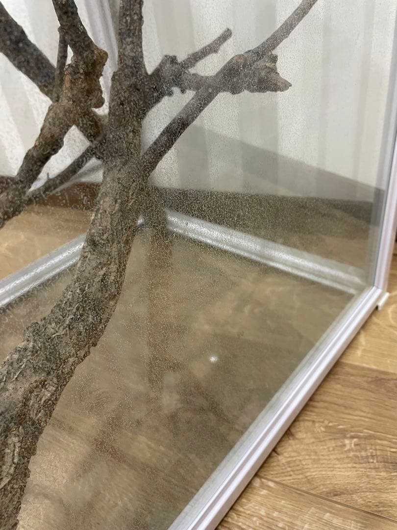 ガラス飼育ケージ　爬虫類　カメレオン　通気性メッシュ蓋付き