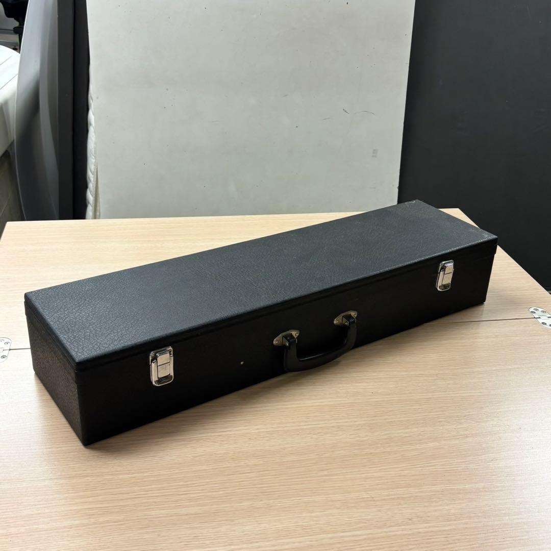 Acha アチャ チャランゴ ボリビア 弦楽器 ハードケース付き