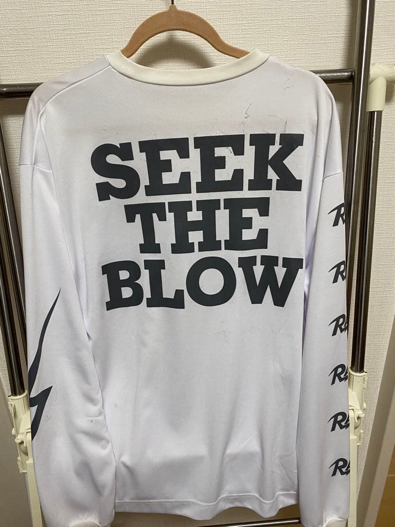 RAID JAPAN ピステ　ドライロンT 4枚セット