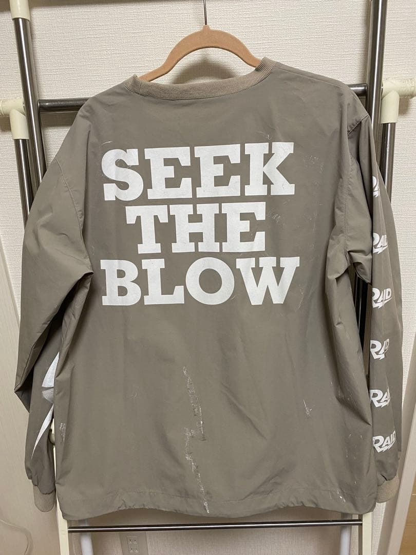 RAID JAPAN ピステ　ドライロンT 4枚セット