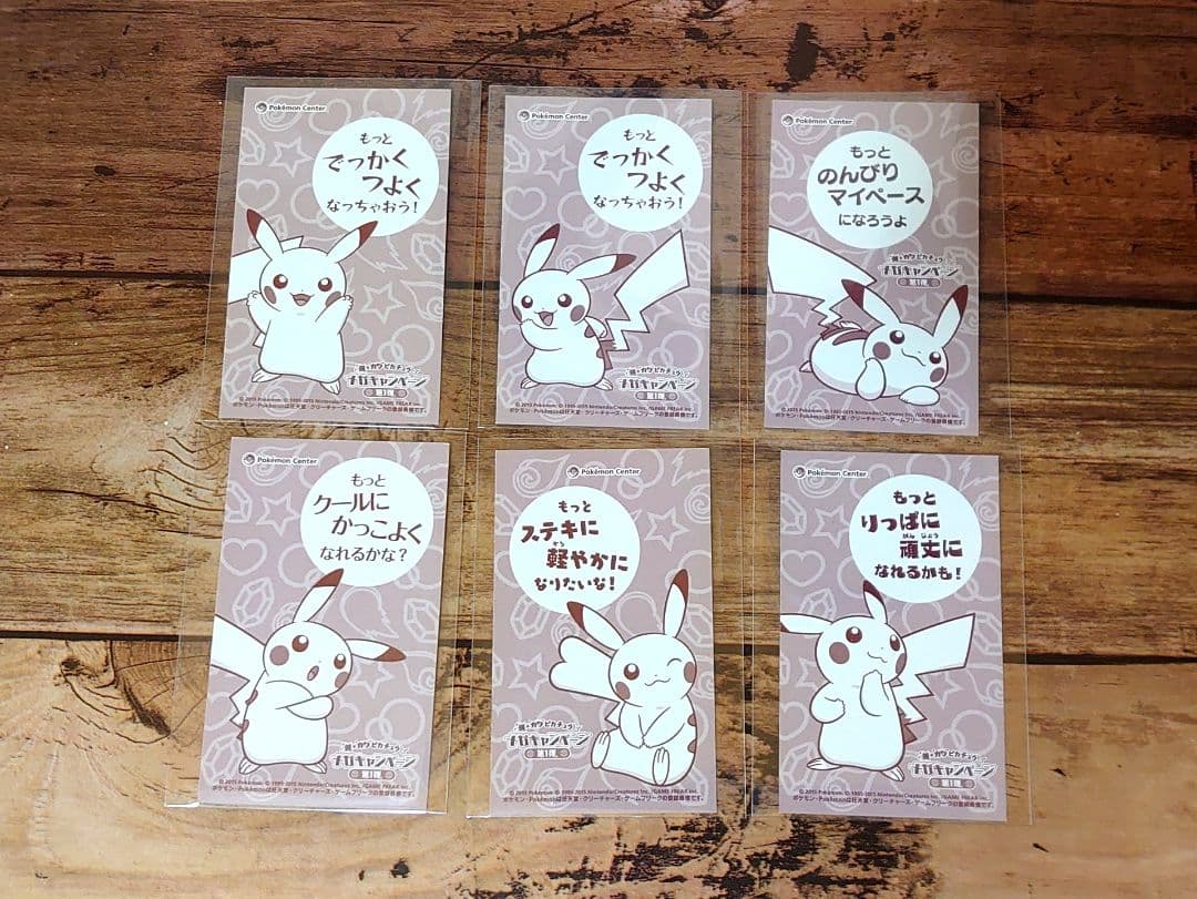 メガキャンペーン 第1弾 名刺カード 6種 ピカチュウ メガシンカ ポンチョ ②