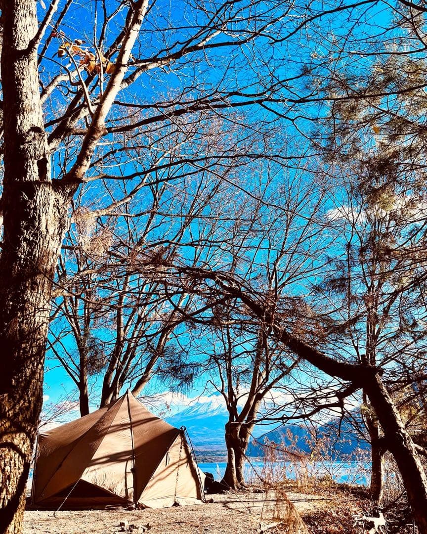 ゼインアーツ　ゼクーm