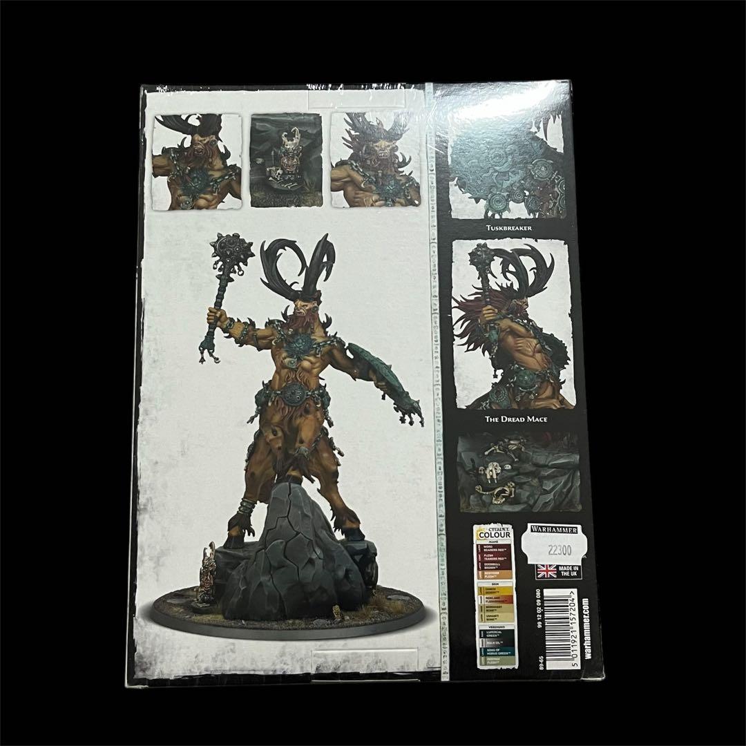 新品未開封 WARHAMMER AGE OF SIGMAR KRAGNOS
