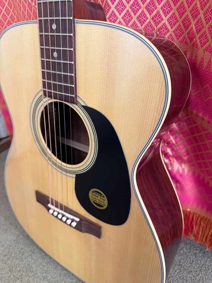 Aria Dreadnought アコースティックギター