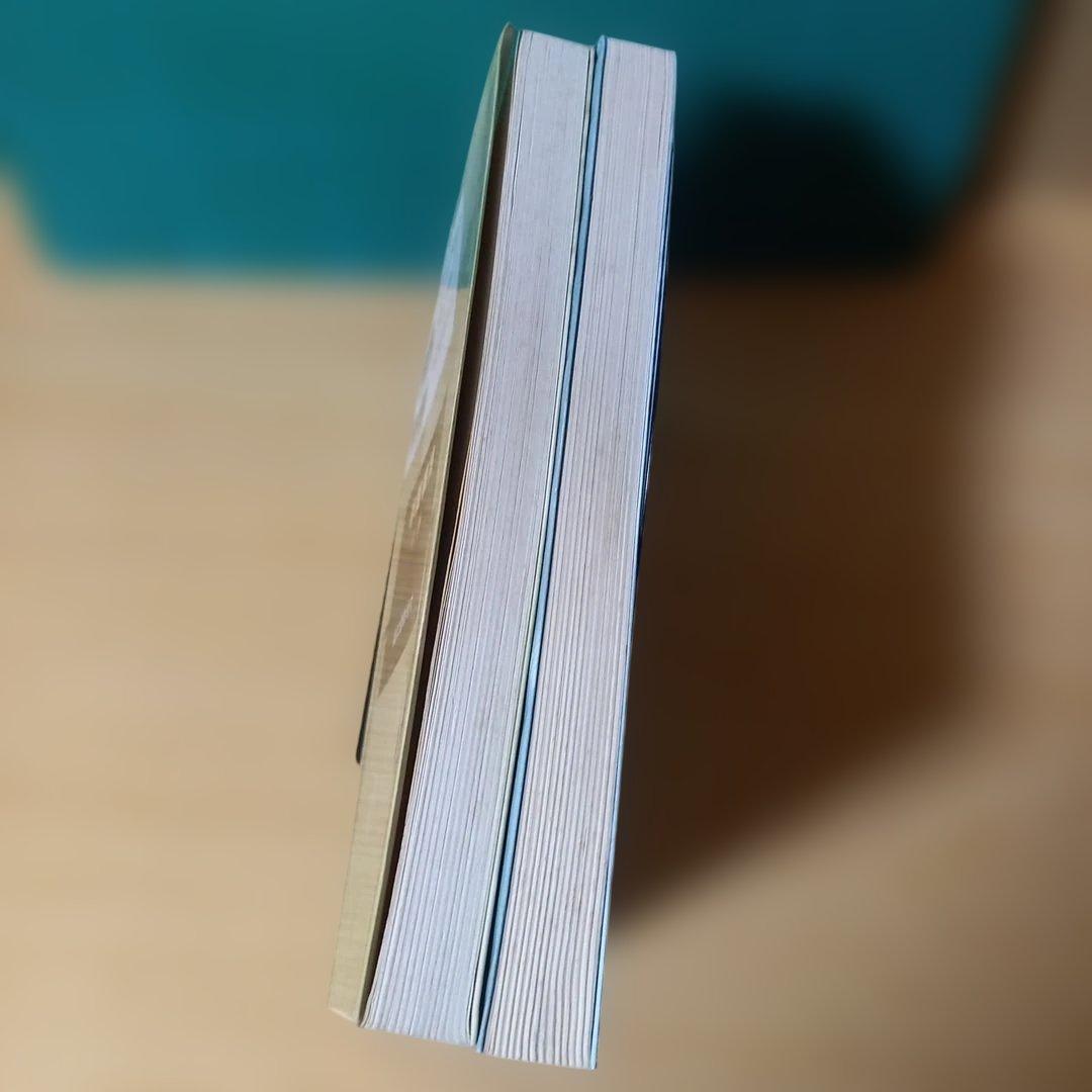 2冊　手筋事典 上・中巻　囲碁　解説本　名誉九段：瀬越憲作　九段：呉 清源