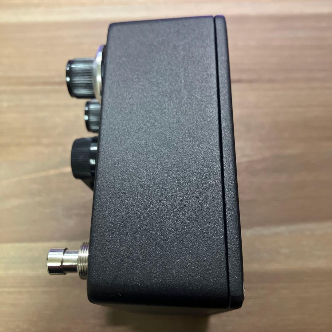 browne amplification PROTEIN クローン