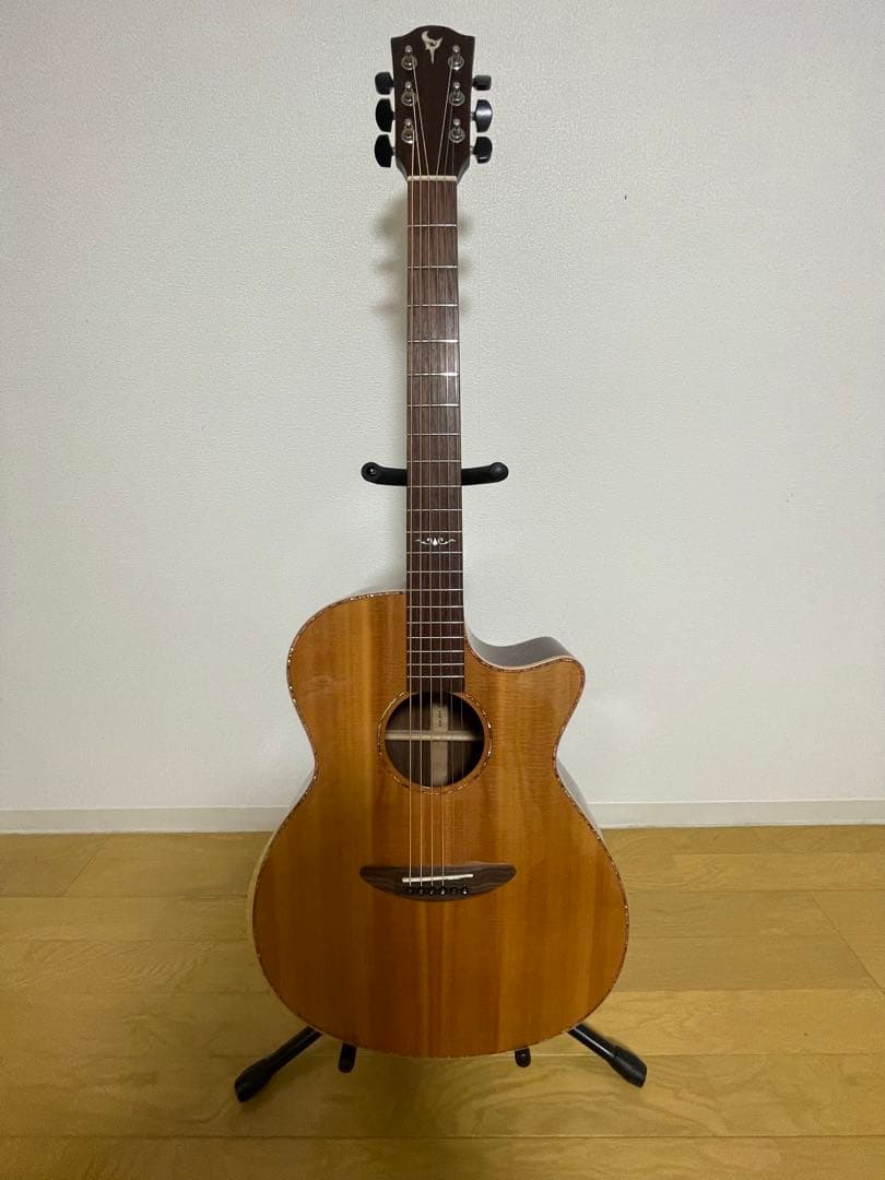 エレアコギター　DCT ＧＲ742CE