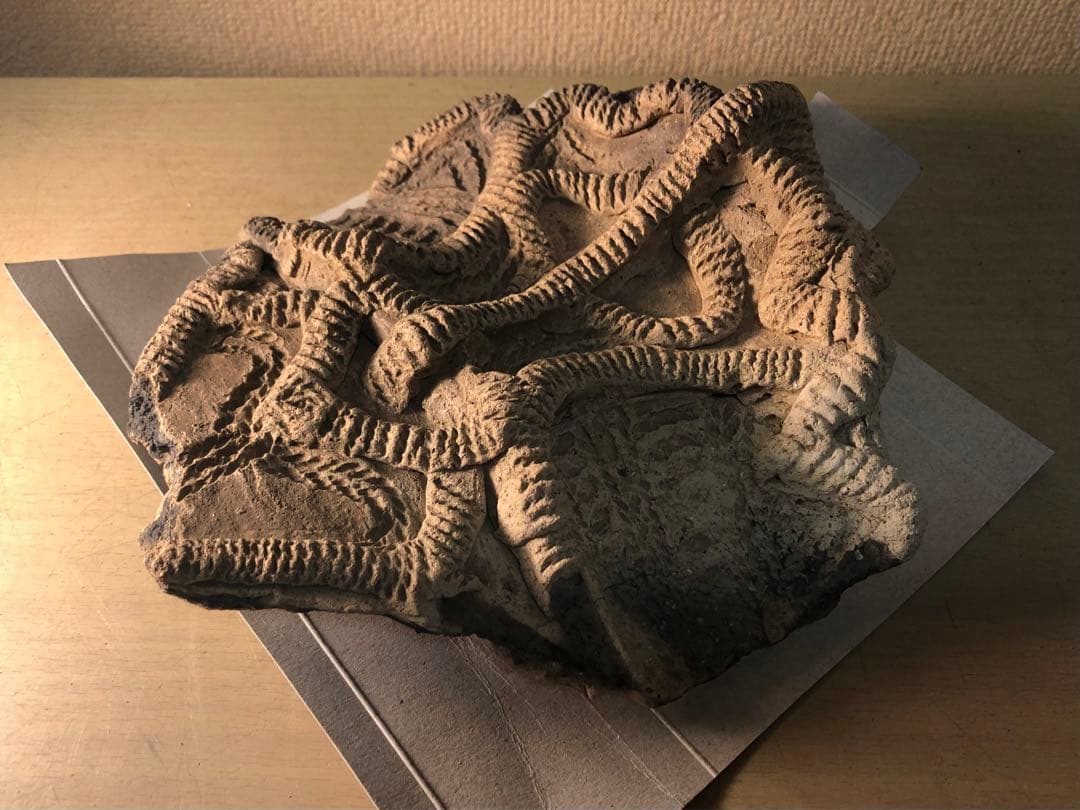 「土器の欠片 縁の部分 No.697」です。