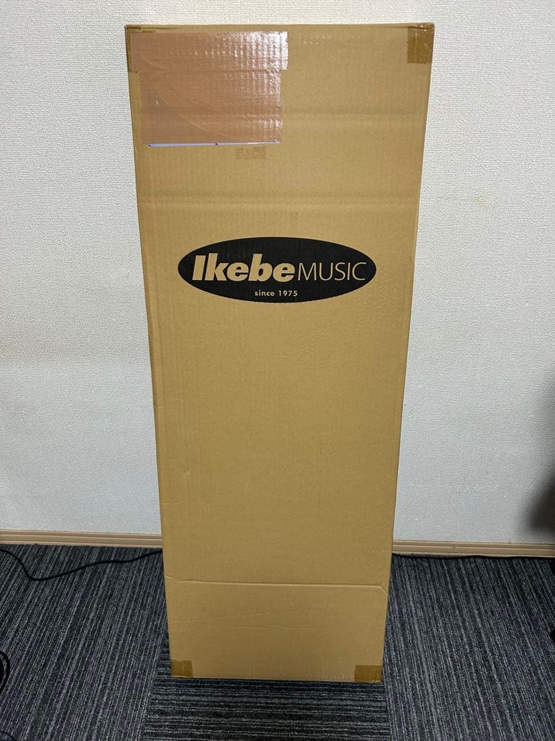 PRS SE Custom 24 ロックペグ交換済み