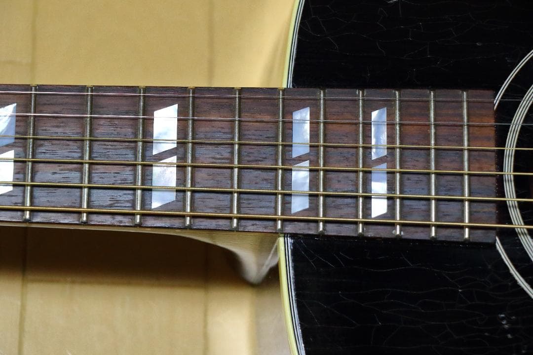 Murphy Lab 1942 Banner Southern Jumbo美品