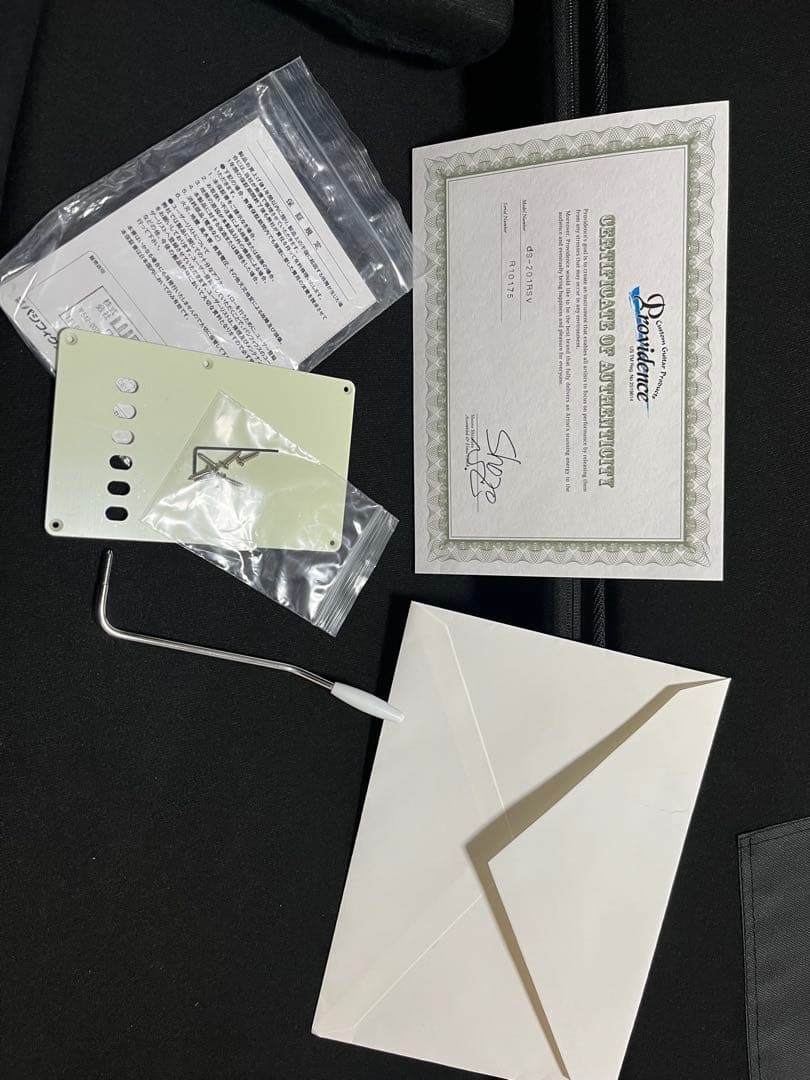 たたた様　Providence :プロビデンス　dS-201 RSV