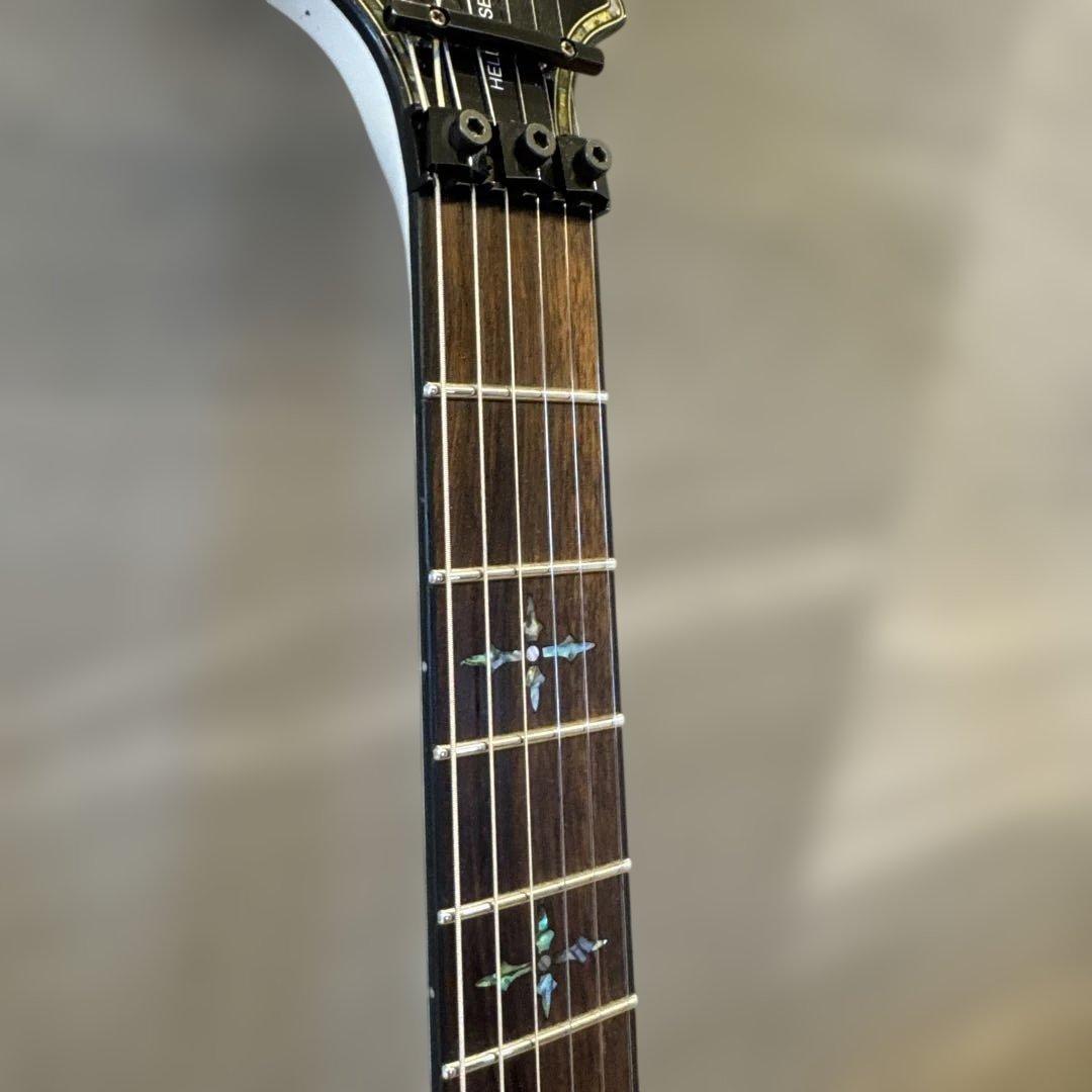 最終値引　シェクター DIAMOND シリーズセットネックEMG フロイドローズ