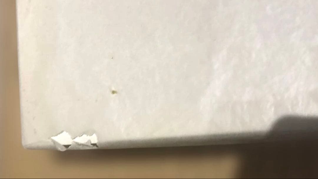 【新品未使用】安室奈美恵 ドール 5体セット Finallyセブンネット【美品】