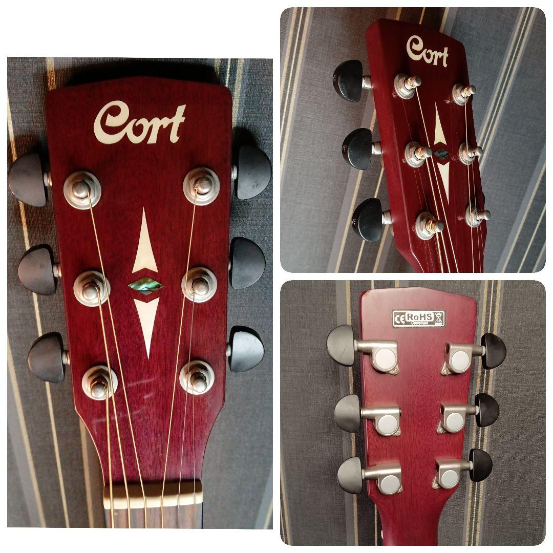 エレアコ Cort コルト パープル 紫 エレキ アコースティックギター SFX