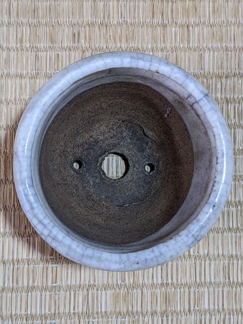 ♦小品盆栽鉢 侘助造 白泥 ミニ盆栽鉢 古美術 骨董品