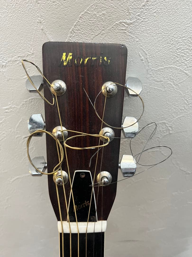 Morris W20 ギター アコースティックギター モーリス