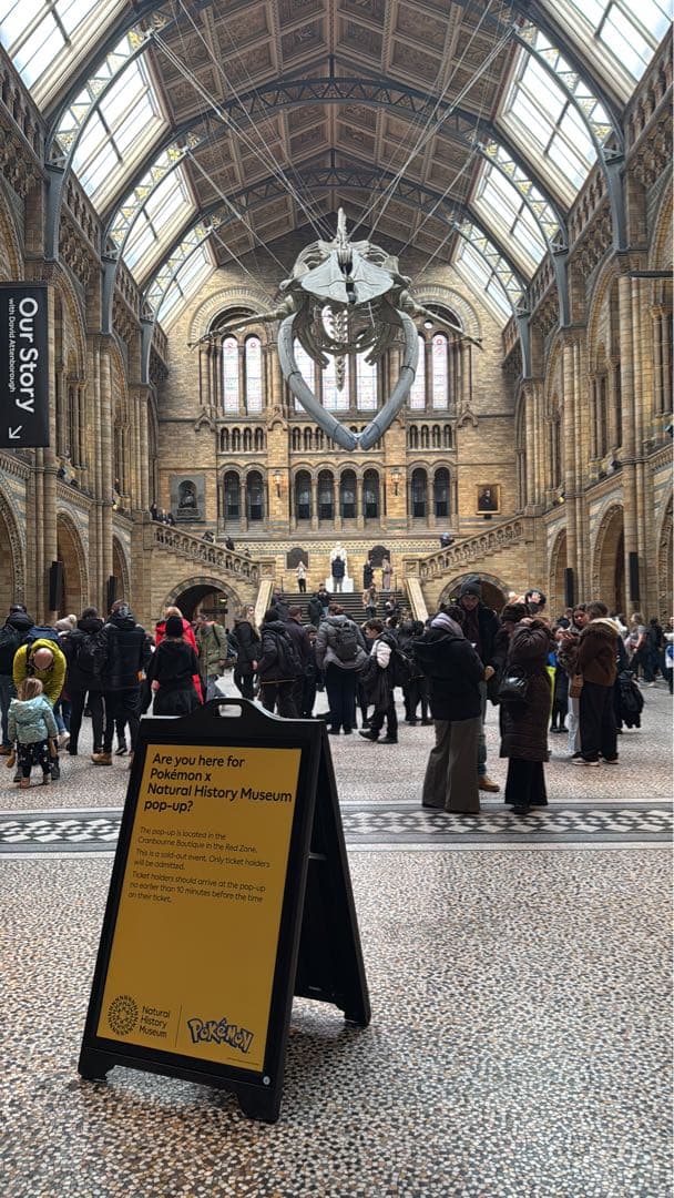 5枚組 ピカチュウ Pikachu at the Museum 博物館 プロモ