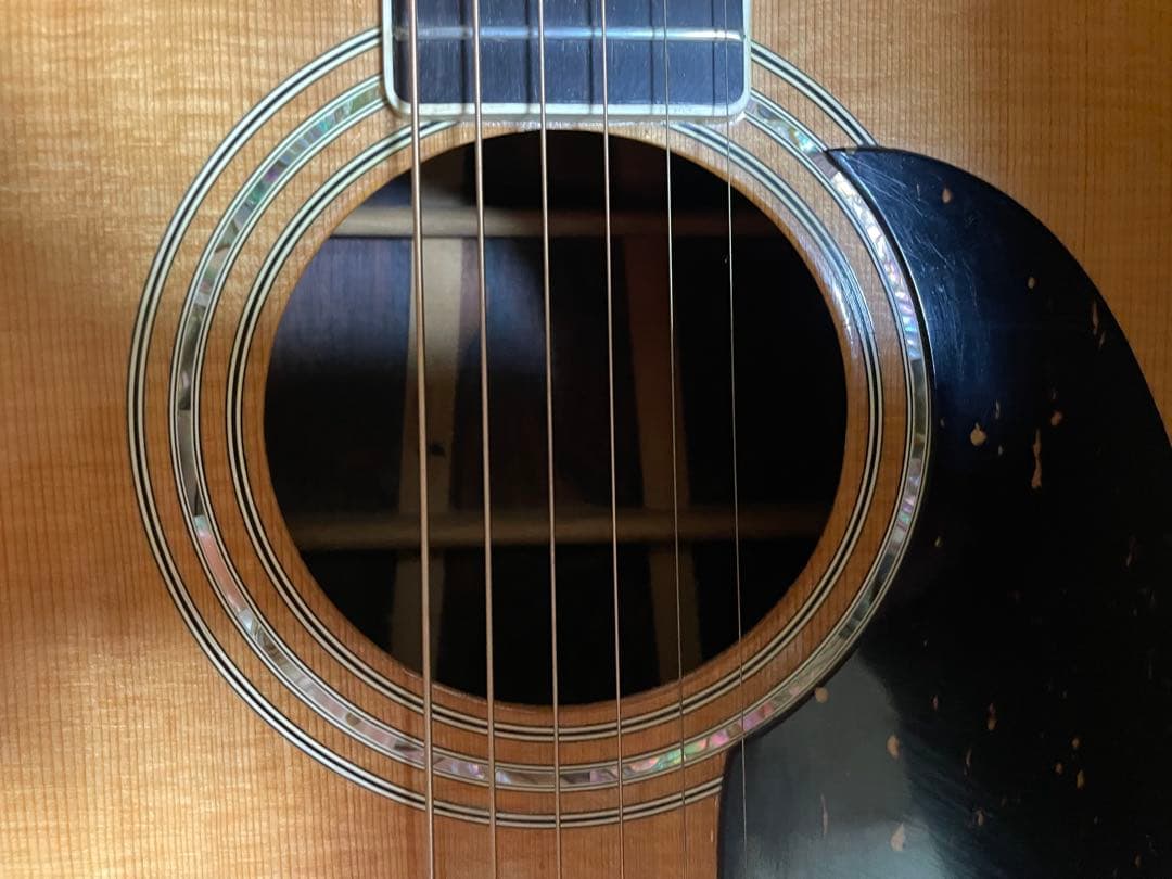 Morris Special アコースティックギター、ハードケース付き。