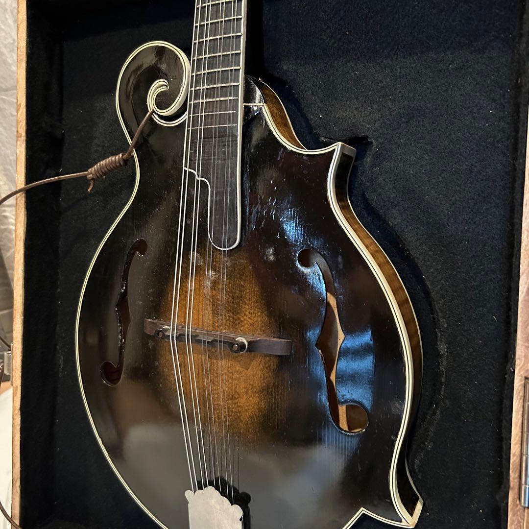 【希少】 junji fujioka フラット マンドリン ケース付