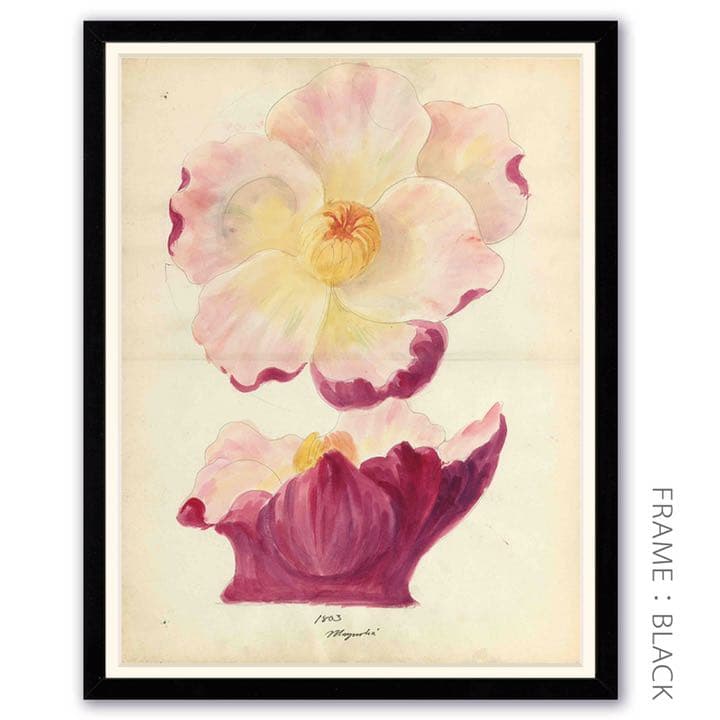 「モクレンの花柄のデザイン画」 【フレームサイズ 32×26cm】