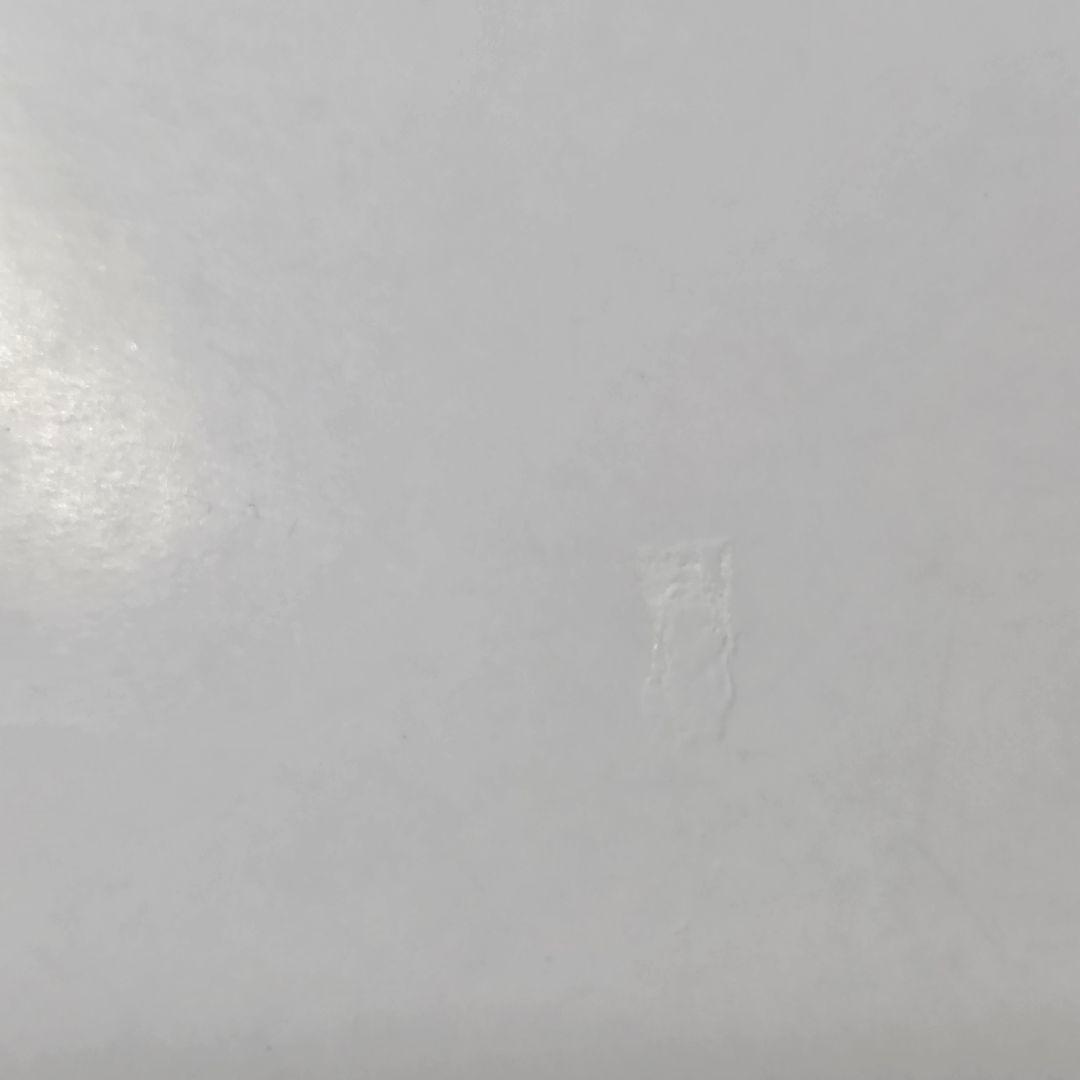 捨てられた皇妃 全巻 特典