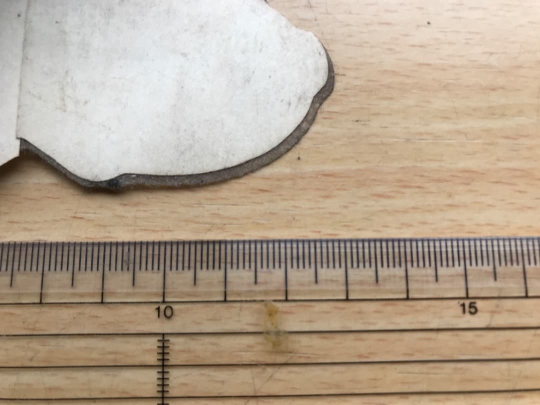 ヴィンテージスケートボードステッカーダニーウェイプランビーHRギーガーエイリアン