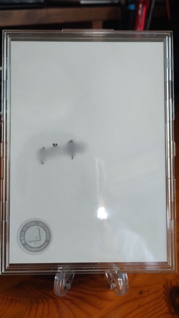 櫻坂46 向井純葉 4thアニラ 直筆 サイン 生写真