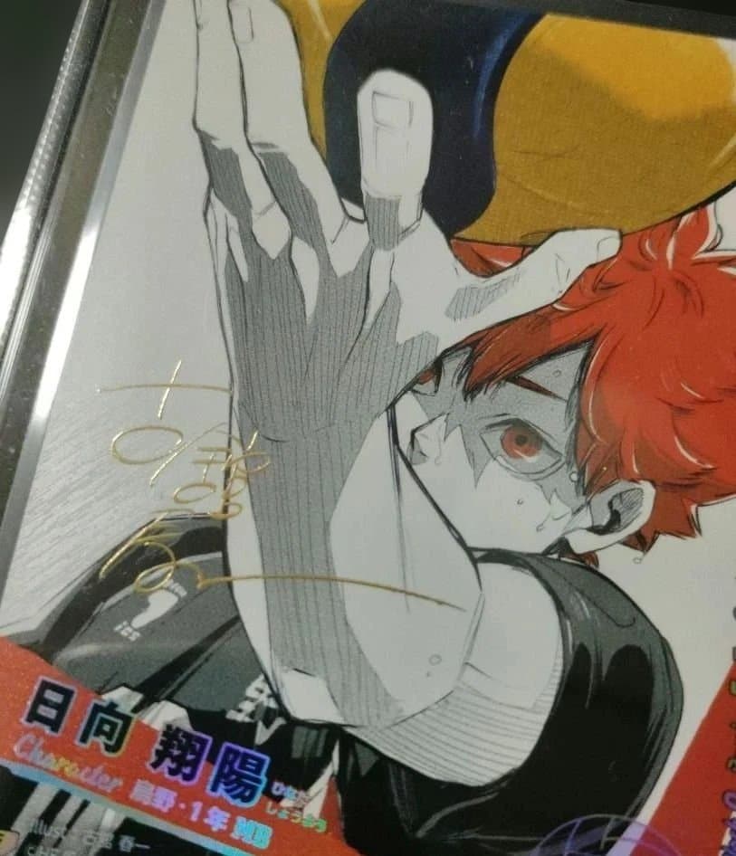 [最終値下げ]ハイキュー　バボカ　極　日向翔陽