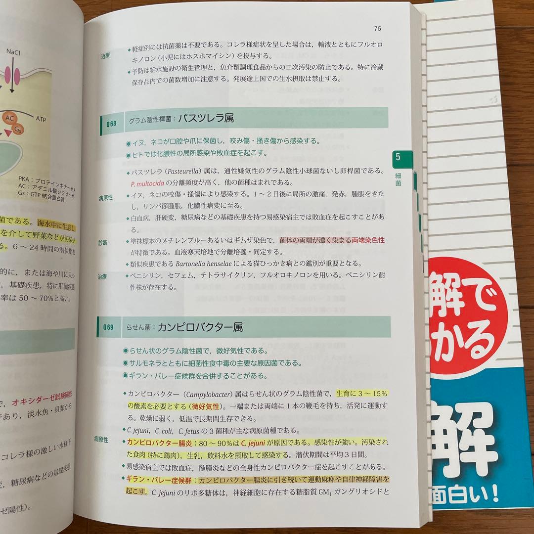 新組織学　新生理学　新微生物学