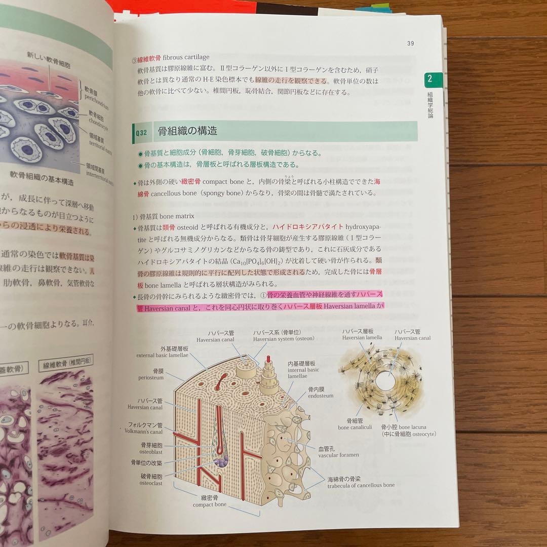 新組織学　新生理学　新微生物学