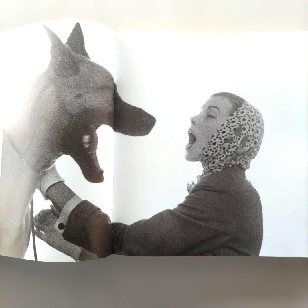 APPARENCES/写真集 作品集 洋書(ブルース・ウェーバー、アベドン他)