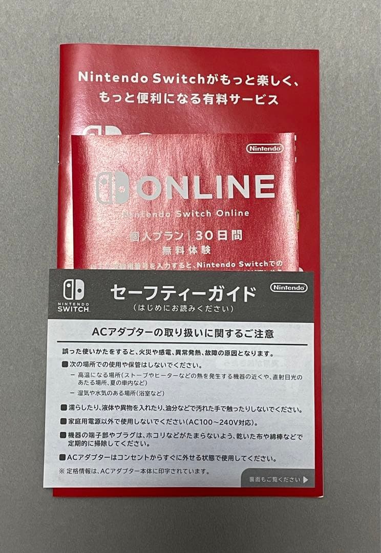 Nintendo Switch Lite グレー＆未使用画面保護フィルム