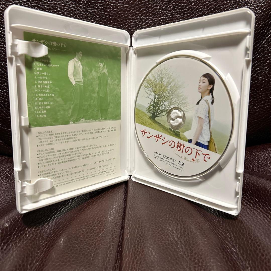 サンザシの樹の下で('10中国)