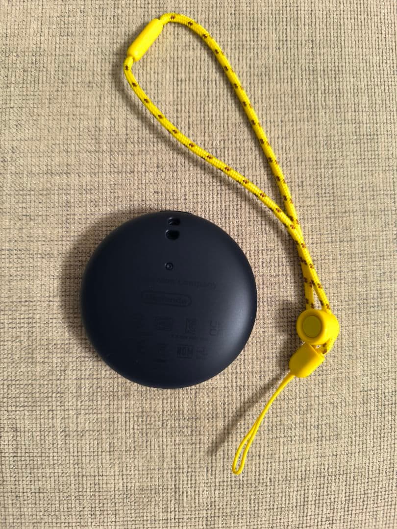 ポケモンGO プラスプラス 本体