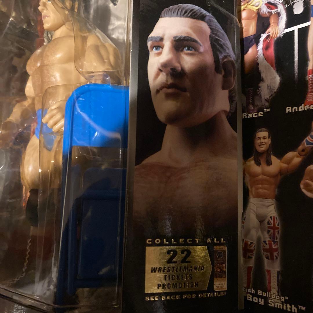 WWEかクラシック10 ブルーノサンマルチノ