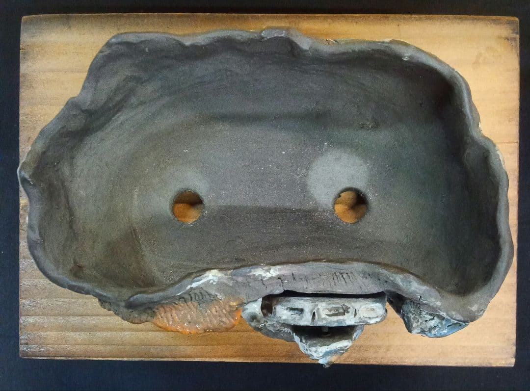 003.【浅井茶山作】龍翁陶器/変型鉢/盆栽鉢/木箱付き