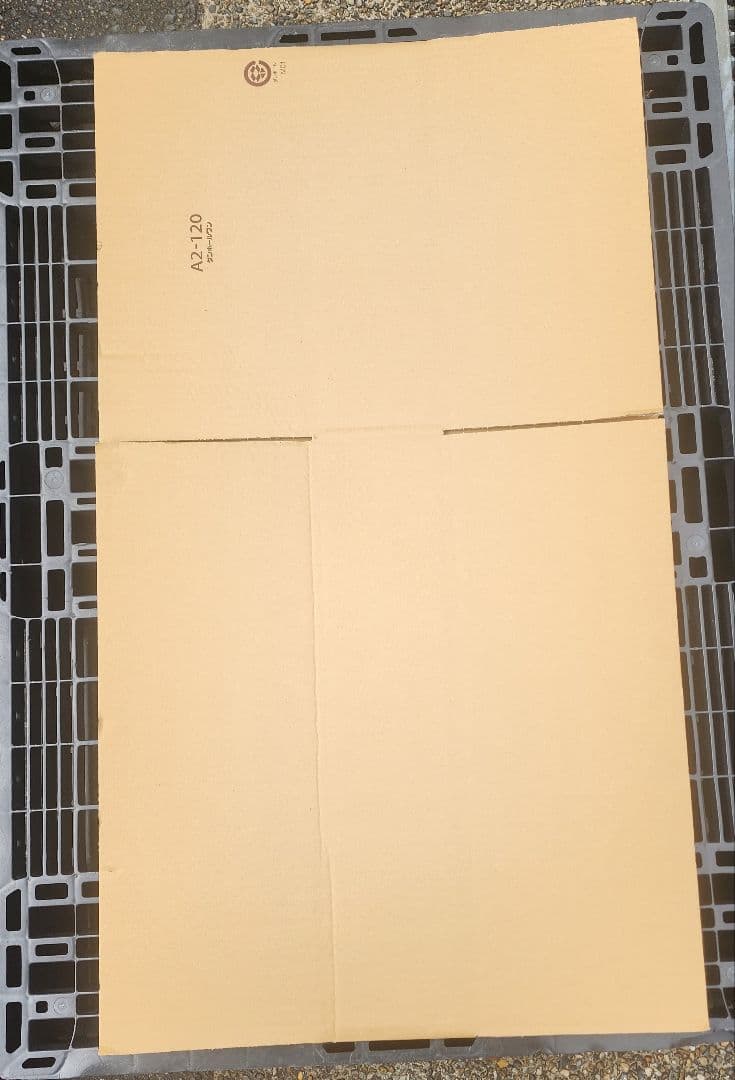 Eukanuba ラム&ライス子犬用ドライフード 15kg