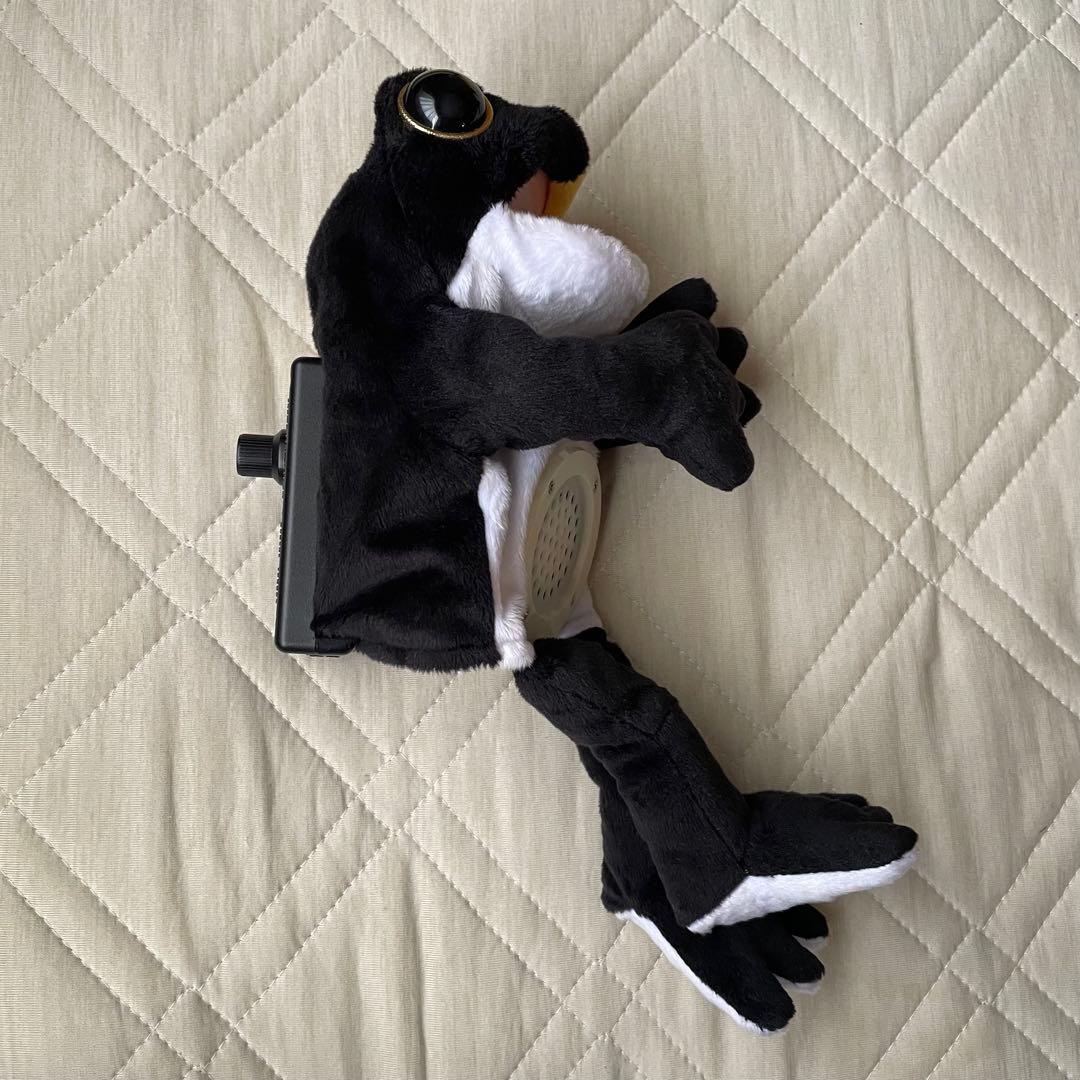 GLAY　HISASHI　ケロヒサシ　コケロミン　カエル