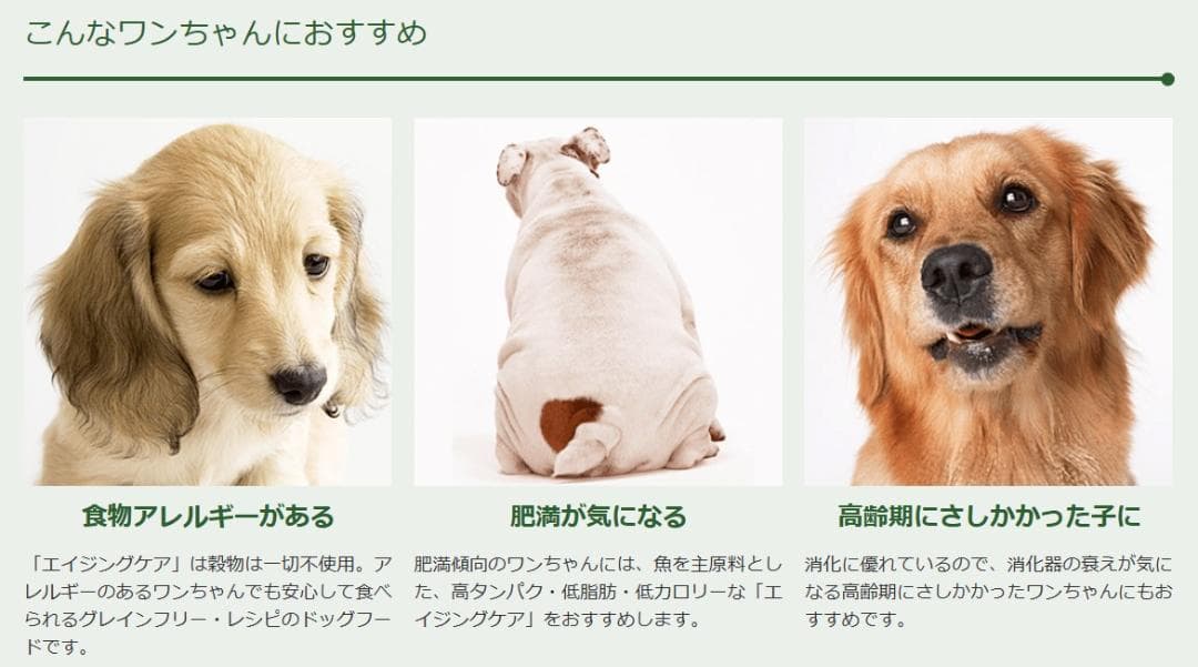 【特価】ネイチャーズテイスト エイジングケア　16kg