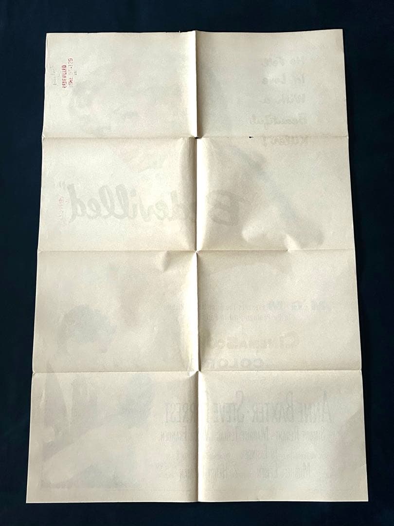 悩まされる　USオリジナル映画ポスター