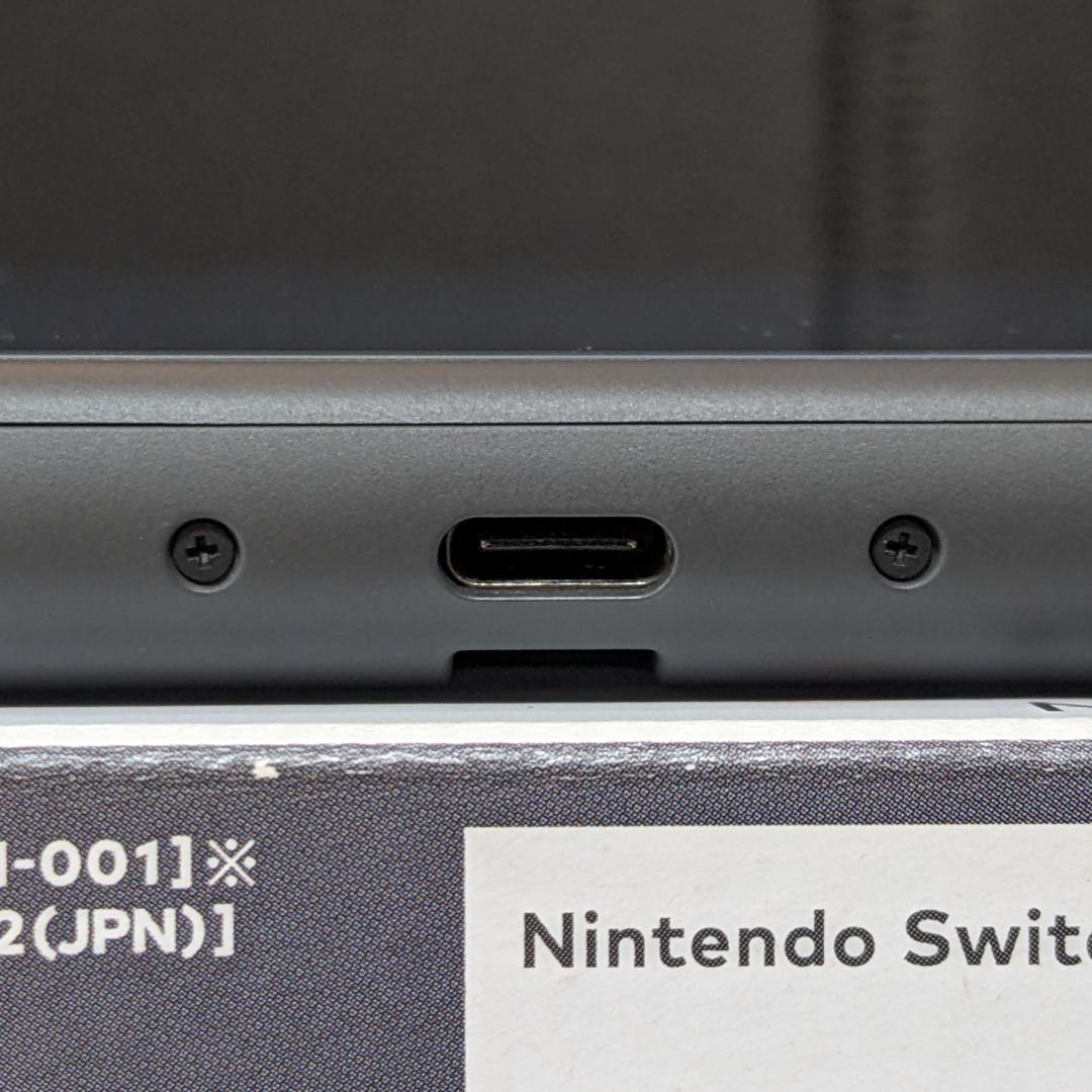 Nintendo Switch Lite グレー 本体 純正フリップカバー付き