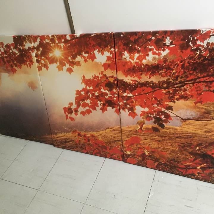 アートパネル 絵画 インテリアパネル